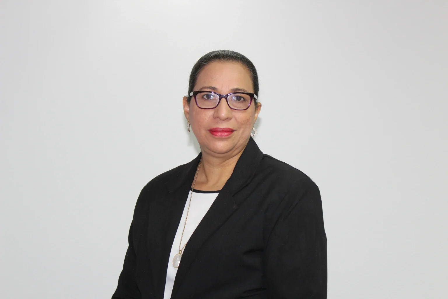 Vice Gerente General