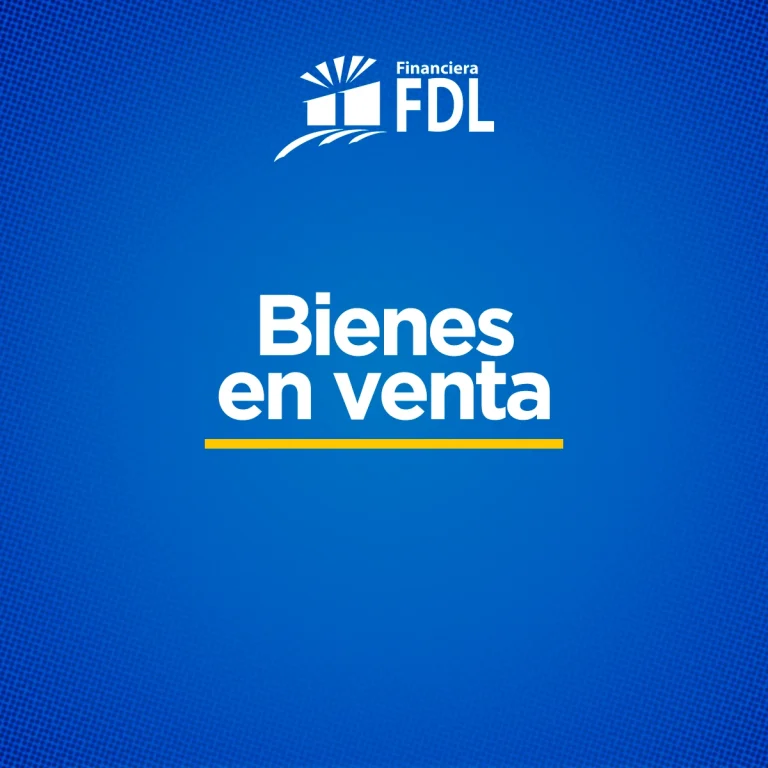 bienes-en-venta-1