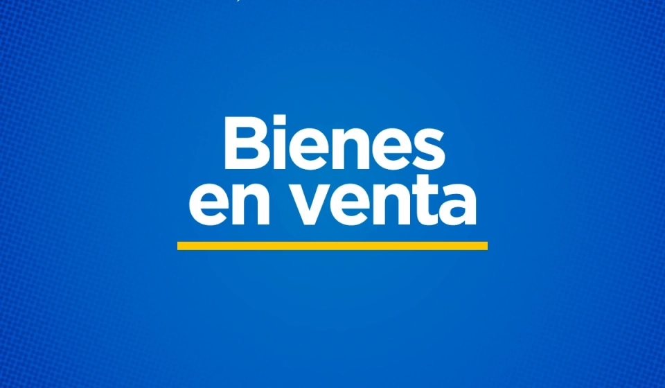 bienes-en-venta-1